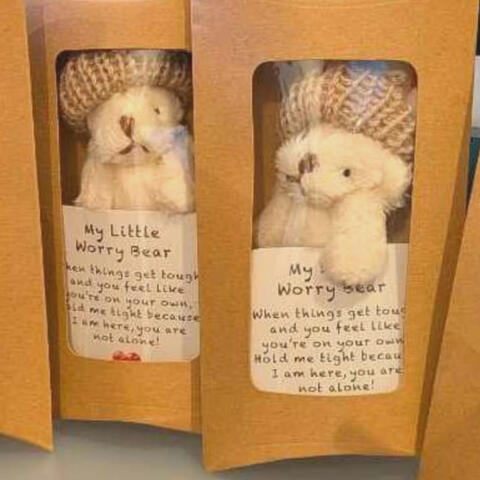 two worry bears in a box